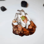 Side view of a large silver flower ring showing the adjustable silver band and the sculpted brushed petal form with tourmaline and coral gemstone centre on a pine cone display.