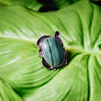 Top view of a silver malachite ring showing the full ornate oxidised silver frame with scroll details and the large oval green and black banded malachite stone on a green leaf.
