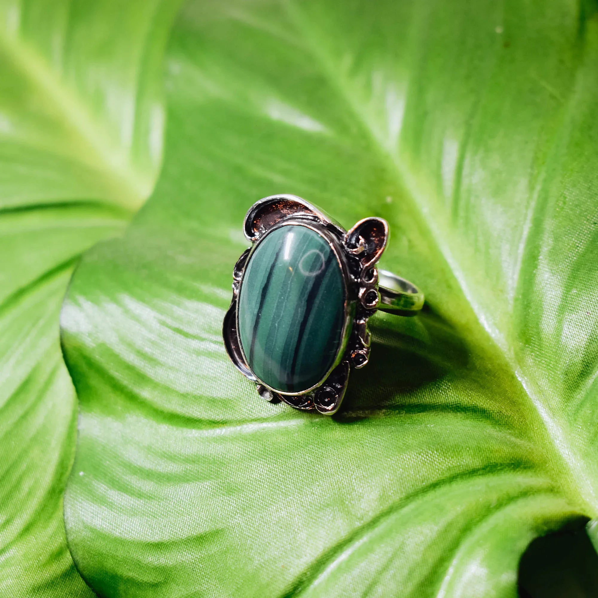 Side view of a silver malachite ring showing the ornate oxidised setting, the large oval malachite cabochon and the adjustable silver band on a green leaf background.