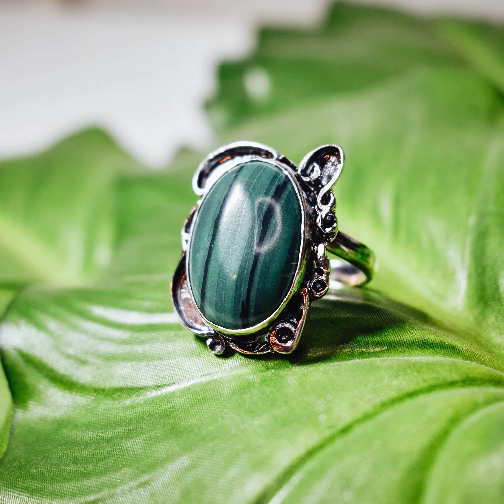 Silver ring with an ornate oxidised scroll and ball setting holding a large oval malachite cabochon with deep green and black banding, displayed on a green leaf. Main image