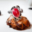 Silver ring with an ornate oxidised scroll setting holding a smooth oval red coral cabochon, displayed on a pine cone with dark stones around it.